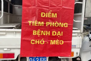 54 người tử vong do bệnh dại, cảnh báo nguy cơ từ chó mèo