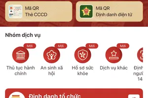Giao diện Tài khoản hưởng an sinh xã hội trên ứng dụng VNeID