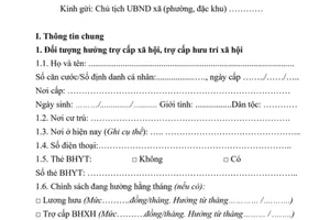 Tờ khai đề nghị trợ cấp xã hội, trợ cấp hưu trí xã hội theo quy định mới. Ảnh: Chụp màn hình
