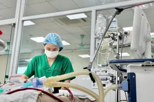 Nam bệnh nhân 23 tuổi không có bệnh nền, nguy kịch do sốt xuất huyết, phải thở máy và can thiệp ECMO. Ảnh: ĐẶNG THANH