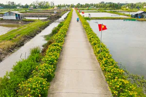 Xây dựng nông thôn mới đi vào thực chất