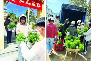 Podcast: Chuyện những người trồng cây không đất