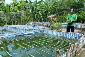 TPHCM: Rà soát hộ nghèo, cận nghèo năm 2024