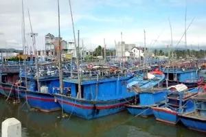 Ảnh: https://hoainhon.binhdinh.gov.vn/