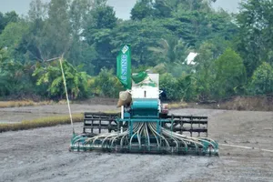 Nông dân huyện Vĩnh Thạnh, TP Cần Thơ xuống giống thí điểm vụ lúa thu đông thực hiện đề án 1 triệu ha lúa chất lượng cao