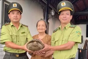 Thừa Thiên Huế tiếp nhận cá thể rùa sen vàng quý hiếm do người dân tự nguyện giao nộp
