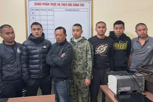 Bắt 7 đối tượng bảo kê bán đào tết, thu lợi bất chính hàng tỷ đồng