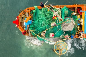 Ngành thủy sản: Chưa hết “thẻ vàng”, đã lo “thẻ đỏ”