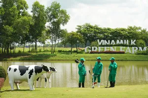 Đăng ký bảo hộ tài sản trí tuệ: Lợi thế cho doanh nghiệp chinh phục thị trường