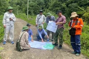 Dự báo Trung Trung bộ có hơn 10 tấn vàng