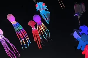 Ảnh minh họa nguồn Internet