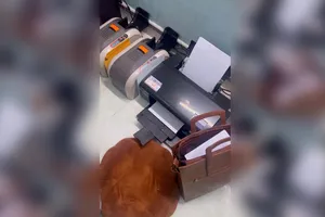 Từ nhân viên giao hàng tới “trùm” làm giấy tờ giả bán liên tỉnh, thành phố