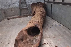 Quảng Bình: Phát hiện gỗ sưa tiền tỷ dưới lòng suối khi đi bắt cá