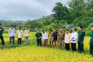 Trao lúa giống tặng người dân biên giới nước bạn Lào