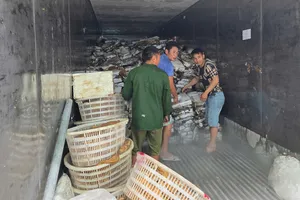 Phát hiện kho chứa hơn 25 tấn thực phẩm bốc mùi hôi thối