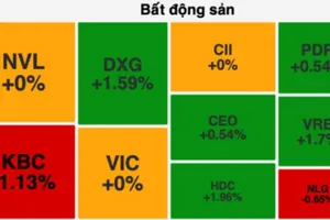 Cổ phiếu bất động sản nhỏ tăng mạnh 
