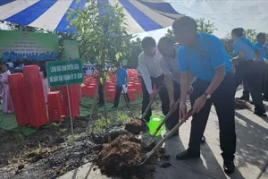 TPHCM: Phát động “Trồng cây đời đời nhớ ơn Bác Hồ” và hưởng ứng ngày Môi trường thế giới 5-6