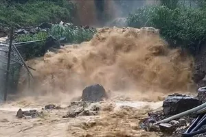 Cảnh báo lũ quét, sạt lở đất do mưa lớn ở 15 tỉnh Bắc bộ ngày 10-6