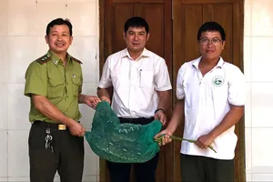 Phát hiện trăn quý hiếm nặng 21kg bò vào nhà dân