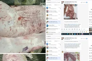 Vụ cửa hàng của C.P. Việt Nam bị tố "tuồn" thịt bẩn ra thị trường: Không khởi tố vụ án