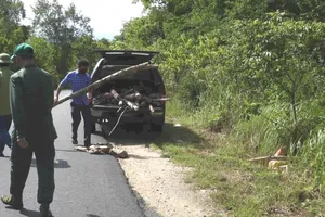 Xử lý nhiều xác heo chết bị vứt trong rừng Ea Sô