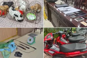 Triệt phá đường dây chuyên trộm chó