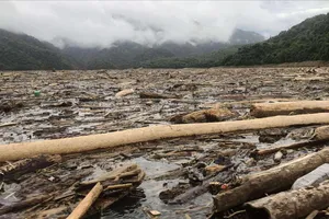 Rác gỗ khổng lồ phủ kín thượng nguồn sông Nậm Nơn, người dân đi lại bất an