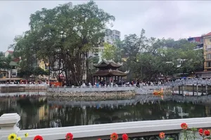 Xây dựng không gian văn hóa đọc tại Văn Miếu - Quốc Tử Giám