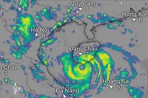 Bão số 5 đã ở mức cuồng phong