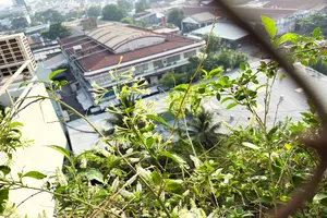 Hàng xóm thành thị