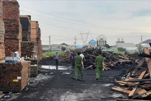 Khẩn trương điều tra vụ cháy công ty sản xuất viên nén ở phường Tân Hiệp, TPHCM