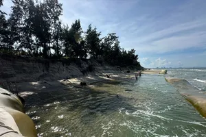 Cận cảnh bờ biển Hội An bị sạt lở nghiêm trọng