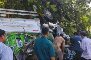 Quảng Ngãi: Xe tải mất lái tông bên đường, 4 người thương vong
