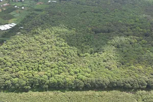 Ngắm toàn cảnh rừng phòng hộ Xuân Sơn rộng 458ha