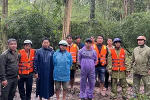 Lâm Đồng: Giải cứu 6 nhân viên đội khảo sát mắc kẹt giữa rừng do mưa lũ