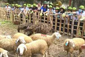 An toàn cho những tiết học ngoài nhà trường