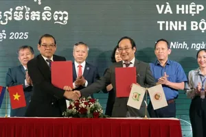 Liên đoàn sắn Campuchia ký kết hợp tác với Hiệp hội sản xuất tinh bột mì Tây Ninh, tháng 12-2025