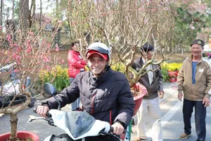 Hoa tết nườm nượp xuống phố Đà Lạt