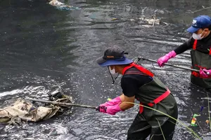 Người trẻ chạm vào “giấc mơ xanh”