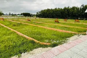  Một khu đất phân lô trên địa bàn phường Tân Thành, TPHCM. Ảnh: QUANG VŨ