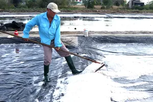 Nắng to nhưng đồng muối An Ngãi vẫn thất thu 