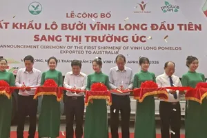 Lô bưởi da xanh đầu tiên của tỉnh Vĩnh Long xuất sang thị trường Úc