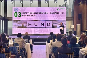 Bà Mã Thanh Loan, Phó Chủ tịch Câu lạc bộ Doanh nghiệp Tư vấn TPHCM trình bày tham luận tại chương trình SACA Connect. Ảnh: THANH HIỀN