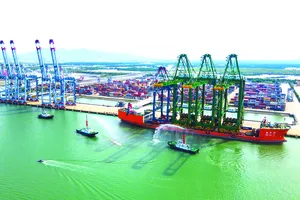 Gia tăng nội lực trong một thế giới bất định