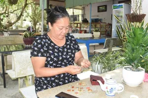 Vì yêu mà đến, vì thương mà ở lại Côn Đảo