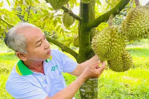 Tăng tốc giảm phát thải với 3 mặt hàng lúa, cà phê, sầu riêng