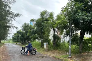 TPHCM tiếp tục xem xét cấp sổ hồng cho 7 dự án nhà ở thương mại