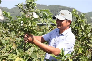 Đồng hành để nâng cao thu nhập cho người nông dân