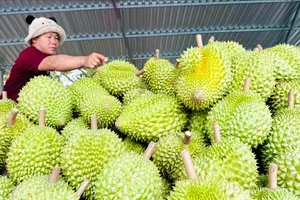 30 cơ sở được kiểm nghiệm Cadimi, 31 cơ sở được kiểm nghiệm chất Vàng O