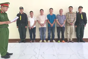 Khởi tố 6 bị can đổ trái phép gần 800 tấn chất thải